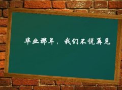 初中毕业感言100字