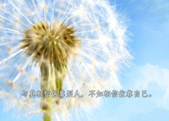 唯美最新<a href='/lizhitupian/' target='_blank'><u>励志图片</u></a>：