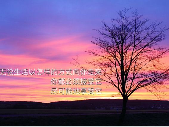 2015正能量<a href='/lizhishuo/' target='_blank'><u>励志说说</u></a>1