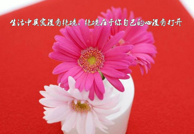 唯美正能量<a href='/lizhitupian/' target='_blank'><u>励志图片</u></a>1