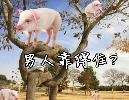 爆笑<a href='/xingqingshuo/' target='_blank'><u>心情说说</u></a>短语