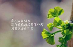 qq空间励志说说短语带