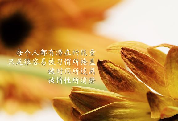 正能量<a href='/lizhitupian/' target='_blank'><u>励志图片</u></a>1