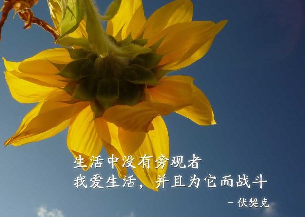 励志<a href='/zaoanxinyu/' target='_blank'><u>早安心语</u></a>带图片唯美2