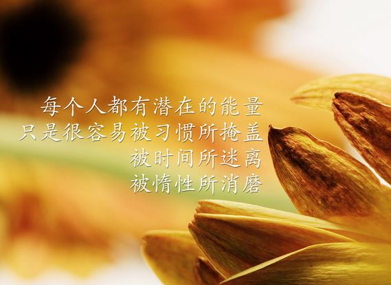 经典<a href='/lizhitupian/' target='_blank'><u>励志图片</u></a>1