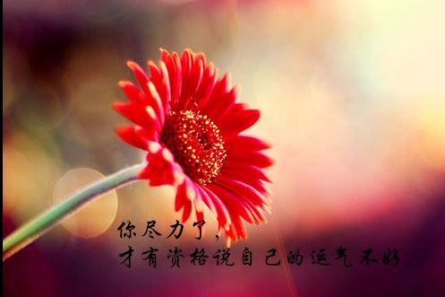 经典励志<a href='/tupianshuo/' target='_blank'><u>图片说说</u></a>3