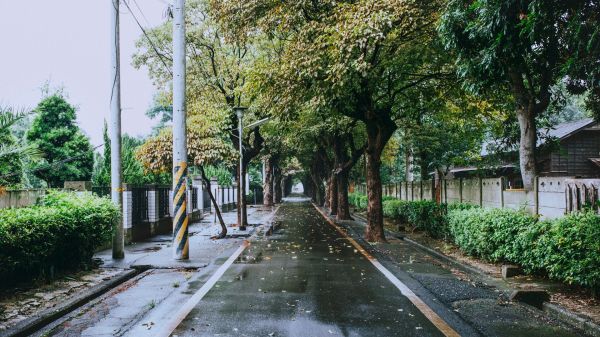 晚上失眠睡不着的句子：夜里睡不着的人那是因为醒在别人的梦里1