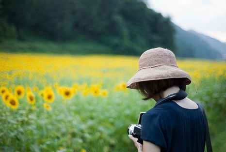 经典唯美早安说说：一花一世界，一叶一如来1