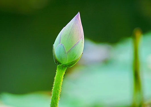 早安优美心语说说心情：人活一回，活的是度量