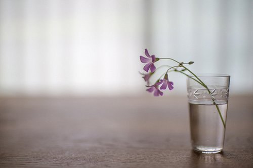 简短早安语录：路有短有长，唯有经历，才能懂得