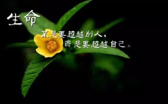 励志早安正能量句子加图片：想要变优秀，顺其自然是不可能的