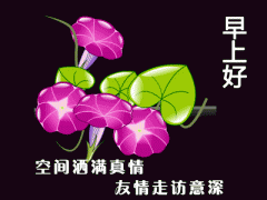 朋友圈漂亮的早安祝