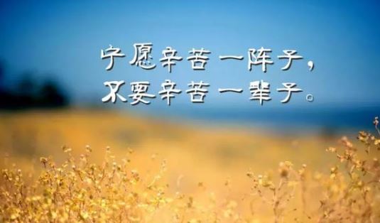 正能量早安励志<a href='/tupianshuo/' target='_blank'><u>图片说说</u></a>：只有努力不会背叛你，加油吧!