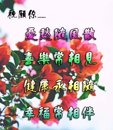 群发朋友圈的早安祝福动画表情 漂亮的早上好问候暖心话