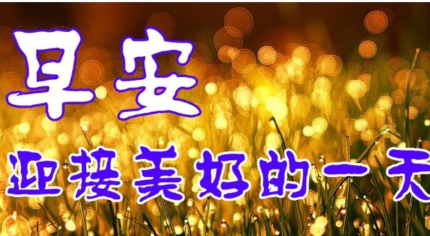 早上好漂亮早安图片带字：生活的真谛也不外乎就是，活着、忍着