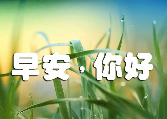 早上好漂亮早安图片带字：生活的真谛也不外乎就是，活着、忍着