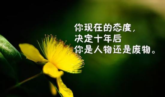 <a href='/zaoanxinyu/' target='_blank'><u>早安心语</u></a>正能量配图：所有逆袭，都是有备而来