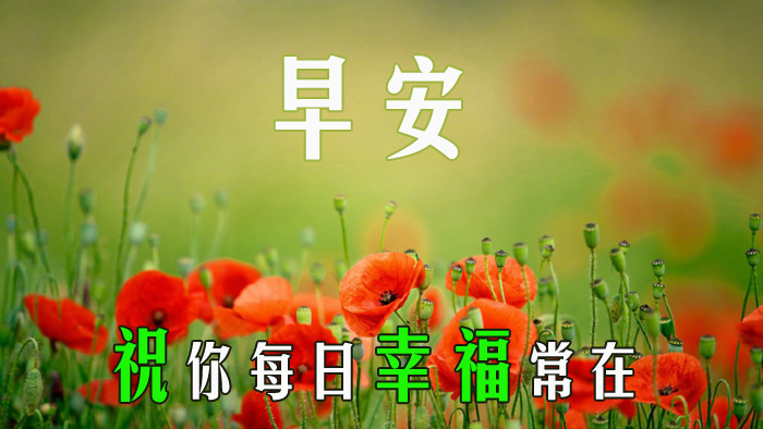 朋友圈现实又很扎心的<a href='/xingqingshuo/' target='_blank'><u>心情说说</u></a>句子