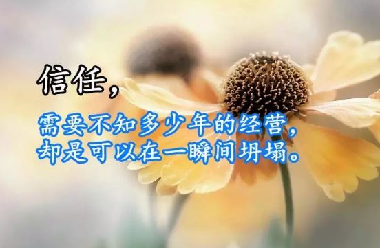 朋友圈很走心的一句话<a href='/ganwu/' target='_blank'><u>人生感悟</u></a>经典早安说说语句配图