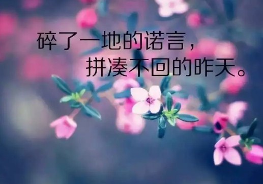 2020朋友圈那些很走心的经典说说句子配图，句句触动人心