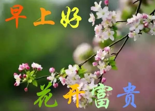 2020最新版早安问候祝福语带图片