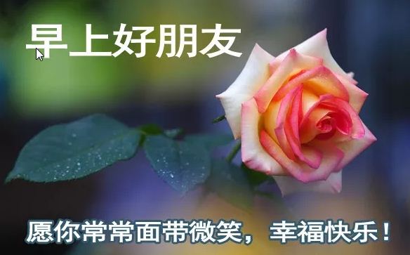 清晨早上好送给朋友的暖心祝福语带图片