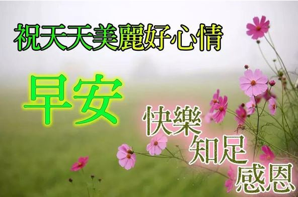 最新版清晨唯美暖心的早安问候祝福图片带字