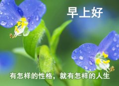 大家早上好特漂亮祝