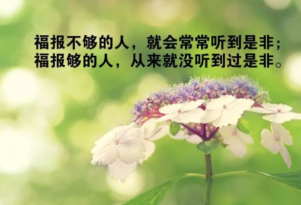 每日清晨群发励志<a href='/jingdianshuo/' target='_blank'><u>经典说说</u></a>句子