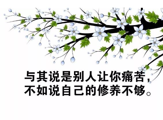 每日清晨群发励志经典说说句子