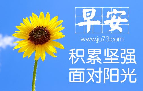 早晨充满阳光正能量的图片