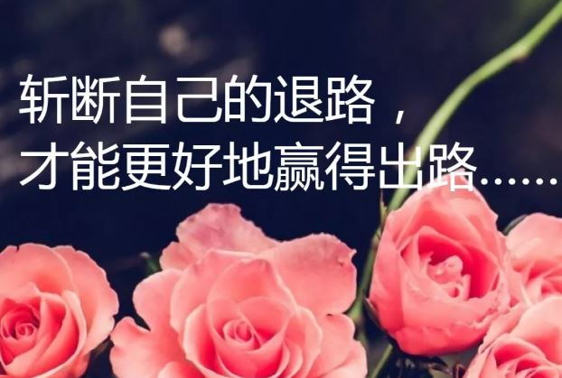 微信早上致自己的励志<a href='/yulu/' target='_blank'><u>经典语录</u></a>，句句都是充满阳光的