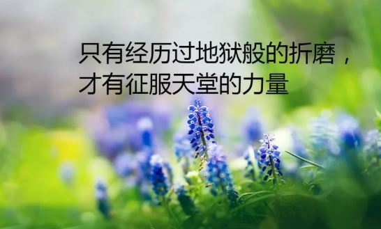 早安微商语录正能量，适合早上发朋友圈