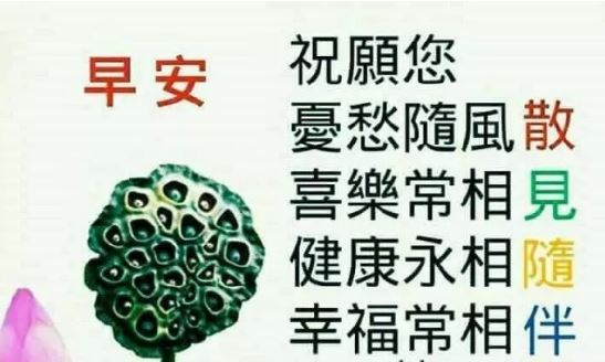 微信朋友圈很漂亮的早上好问候表情图片