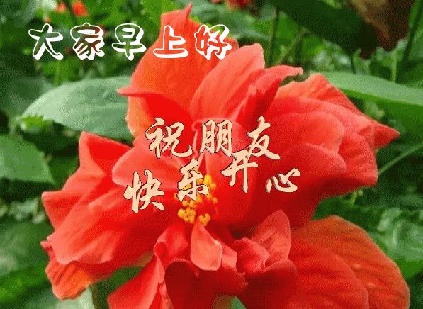 周末快乐早安问候语 清晨最美早安祝福图片带字