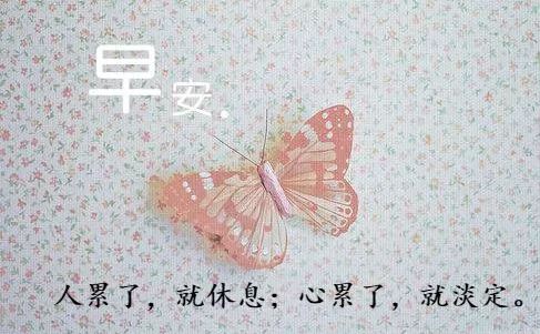 触动人心的早安句子