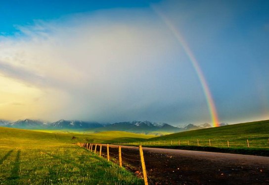 关于不经历风雨怎能见彩虹的励志说说句子