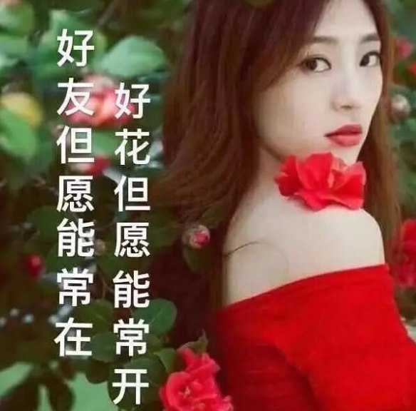 早上好美女图片大全