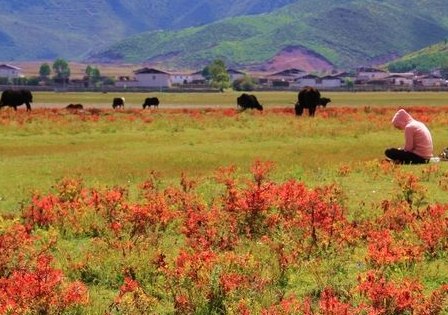 你好，十月励志早安说说句子 10月新的一个月说说