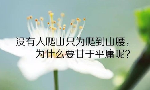 早安阳光语录：人不能小看自己，各有所长