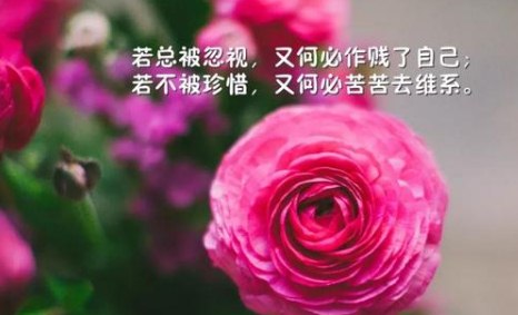 早安慰问暖心励志话：保持乐观的心态你会变好的