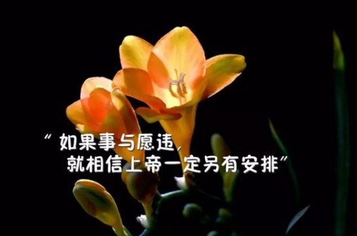 经典早安励志温暖话语：不要总觉得时间还很多，岁月不等人