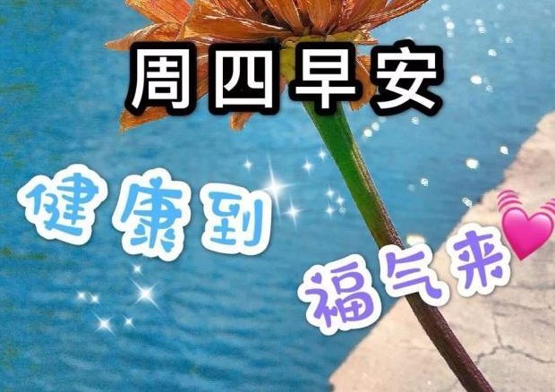 星期四早上好暖心祝福短信精选16句，祝你一天好心情