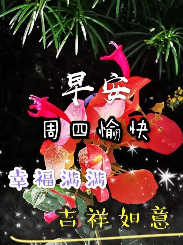 周四15句早上好问候句子，愿我的朋友幸福每一天