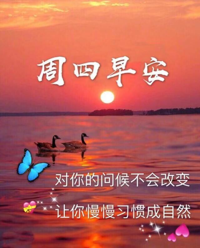 周四15句早上好问候句子，愿我的朋友幸福每一天