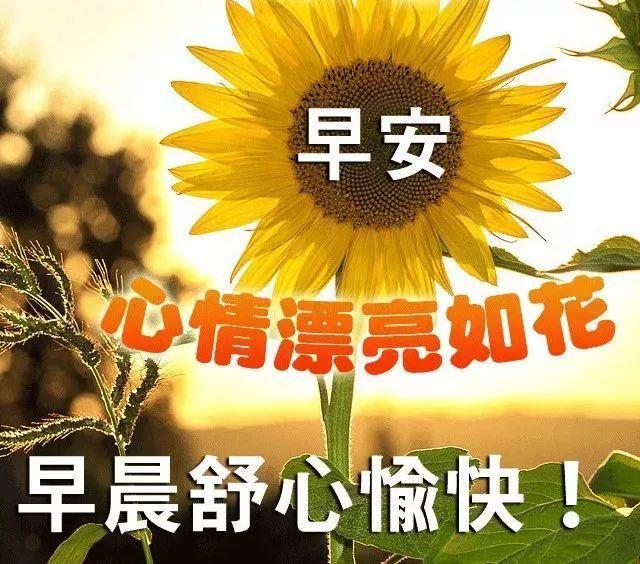 14句星期一最美暖心祝福语，祝你早安