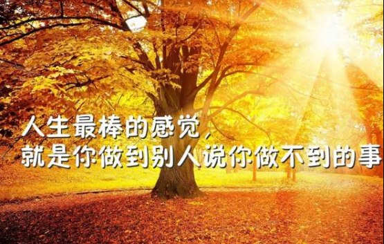 早安励志心语：把努力当成一种习惯，坚持才是王道