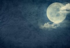 20条关于月亮的诗句
