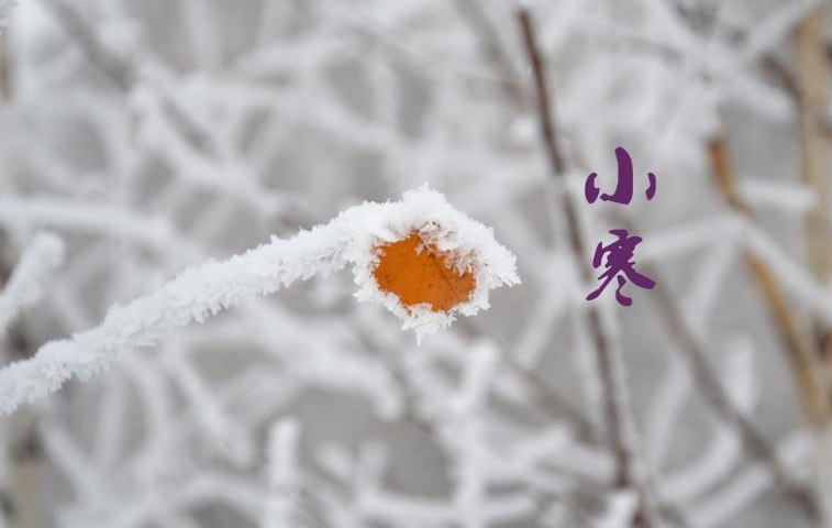 小寒节气祝福语图片，唯美贴心,祝你快乐