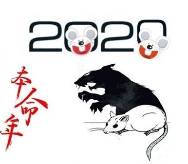 2020年鼠年本命年祝福语16句